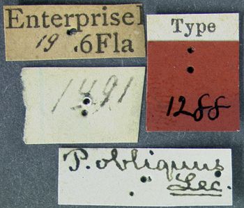 Media type: image;   Entomology 1288 Aspect: labels